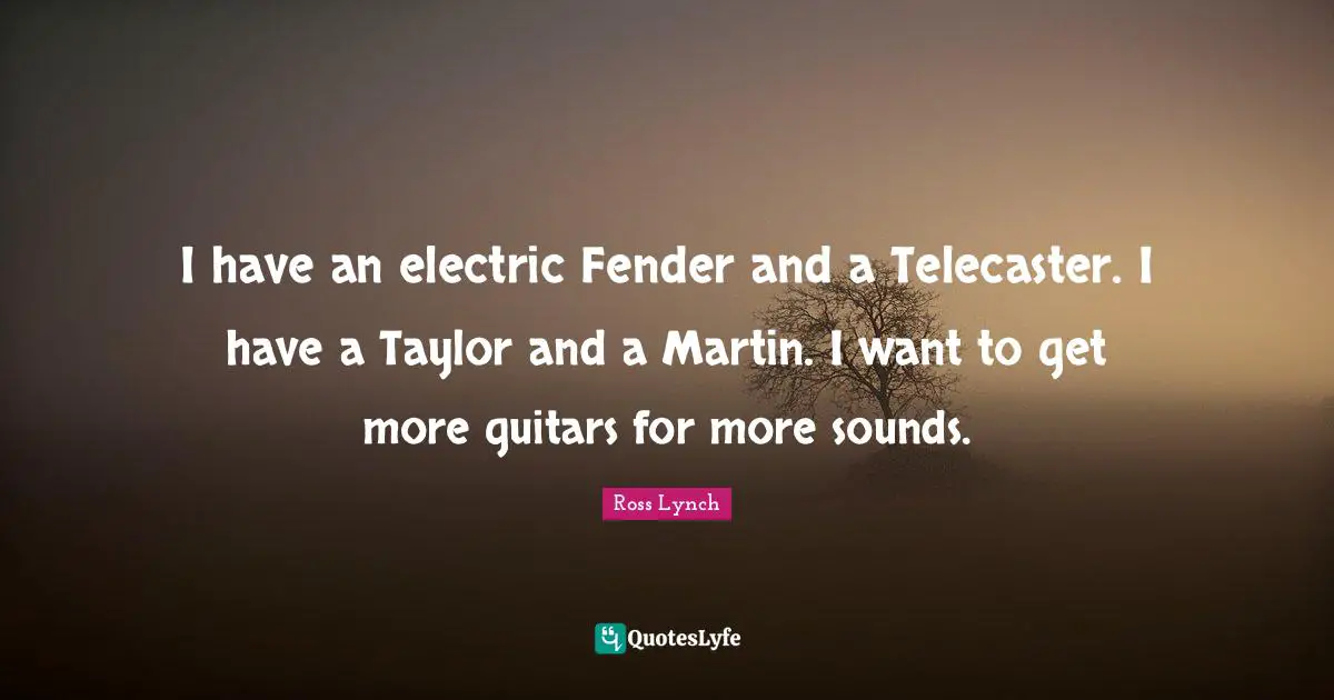 I have an electric Fender and a Telecaster. I have a Taylor and a Martin. I want to get more guitars for more sounds.