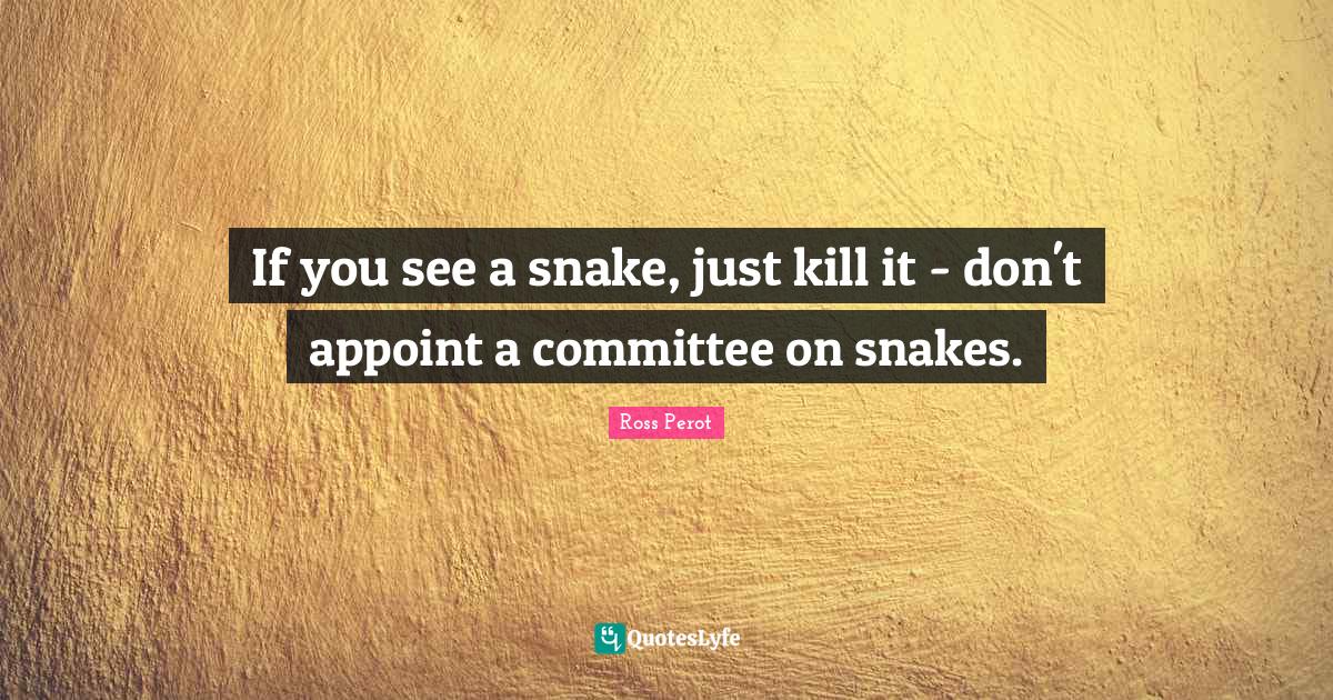If you see a snake, just kill it don't appoint a committee on snakes