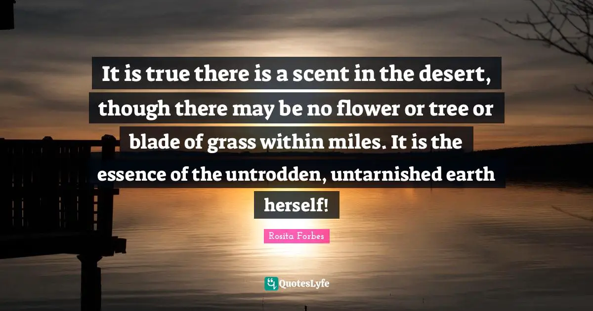 Rosita Forbes Quotes: "It is true there is a scent in the desert, though there may be no flower or tree or blade of grass within miles. It is the essence of the untrodden, untarnished earth herself!"