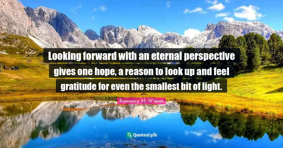 Looking forward with an eternal perspective gives one hope, a reason to look up and feel gratitude for even the smallest bit of light.
