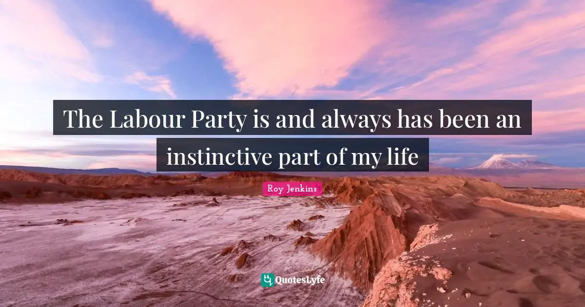 The Labour Party is and always has been an instinctive part of my life