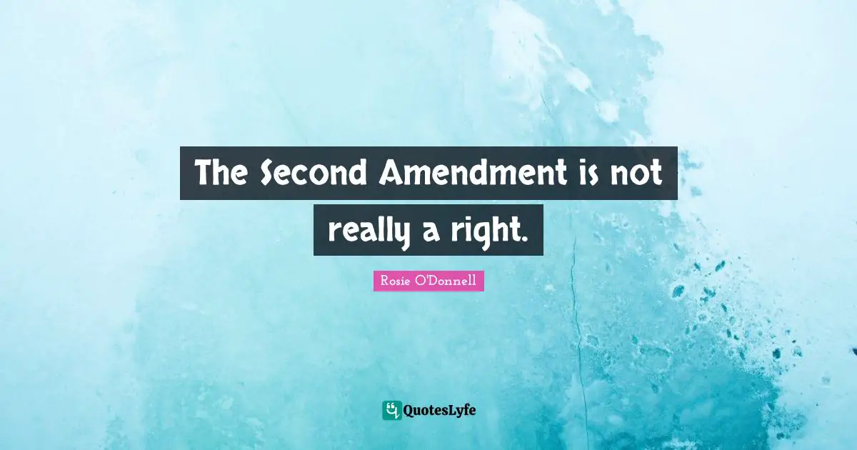 Rosie O'Donnell Quotes: "The Second Amendment is not really a right."