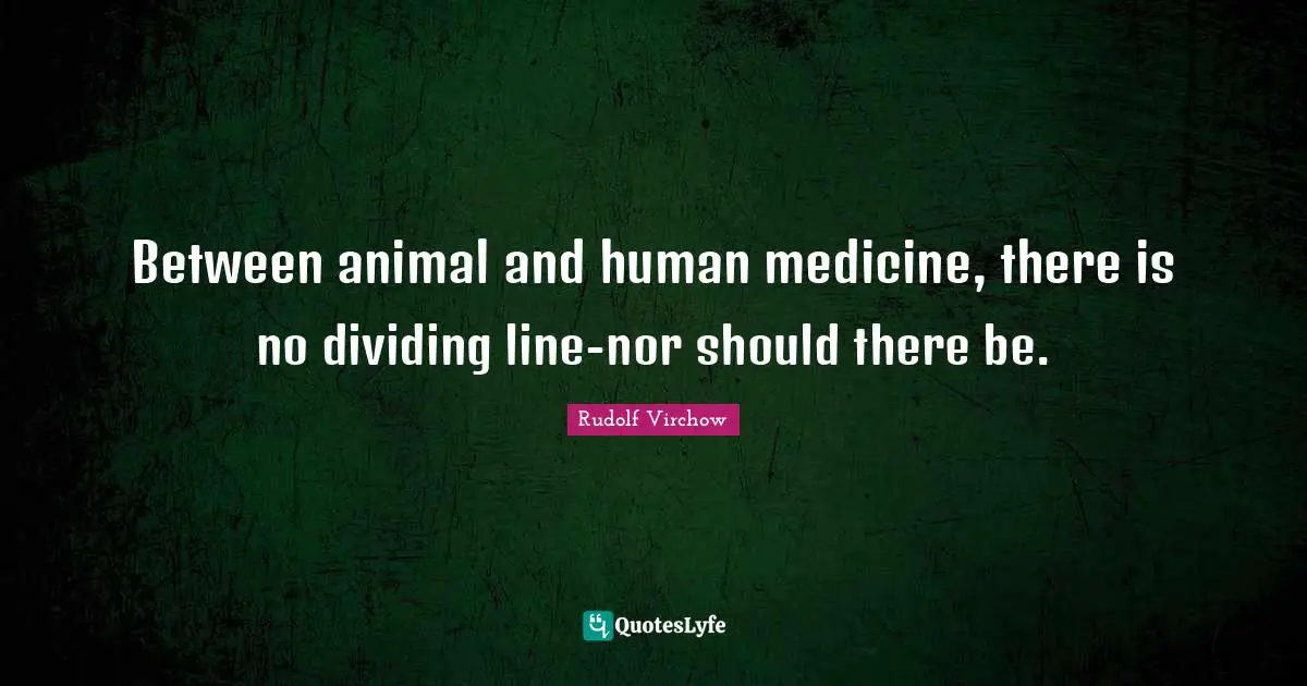 Dividing Quotes: "Between animal and human medicine, there is no dividing line-nor should there be."