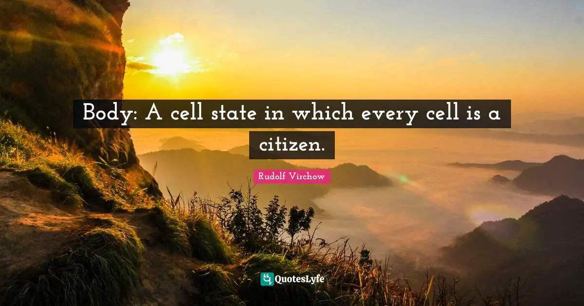 Body: A cell state in which every cell is a citizen.