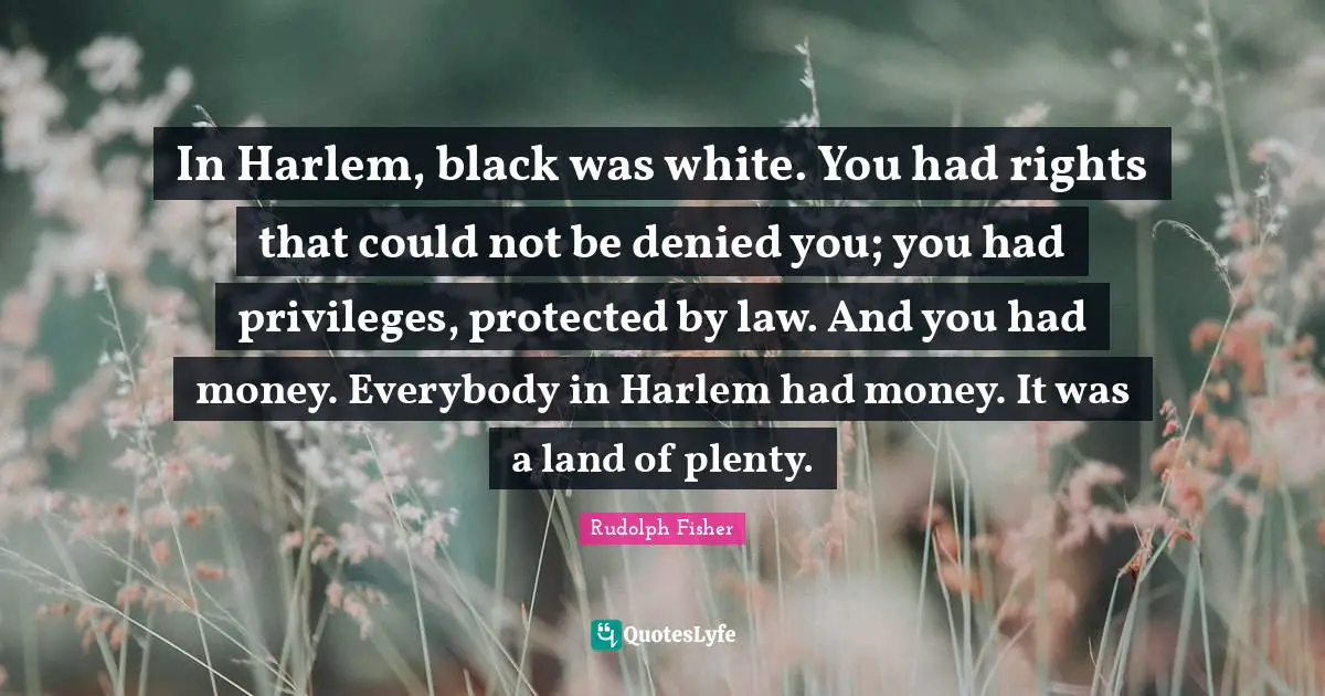 In Harlem, black was white. You had rights that could not be denied you; you had privileges, protected by law. And you had money. Everybody in Harlem had money. It was a land of plenty.