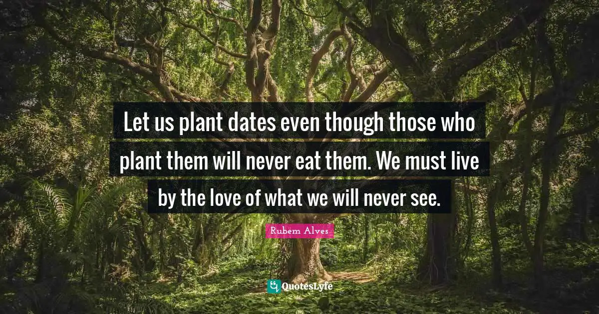 Let us plant dates even though those who plant them will never eat them. We must live by the love of what we will never see.