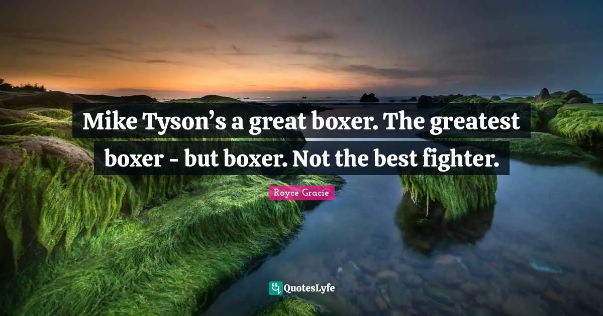Mike Tyson’s a great boxer. The greatest boxer - but boxer. Not the best fighter.