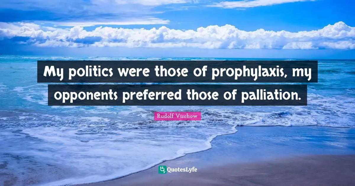 My politics were those of prophylaxis, my opponents preferred those of palliation.