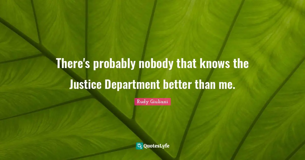 There's probably nobody that knows the Justice Department better than me.