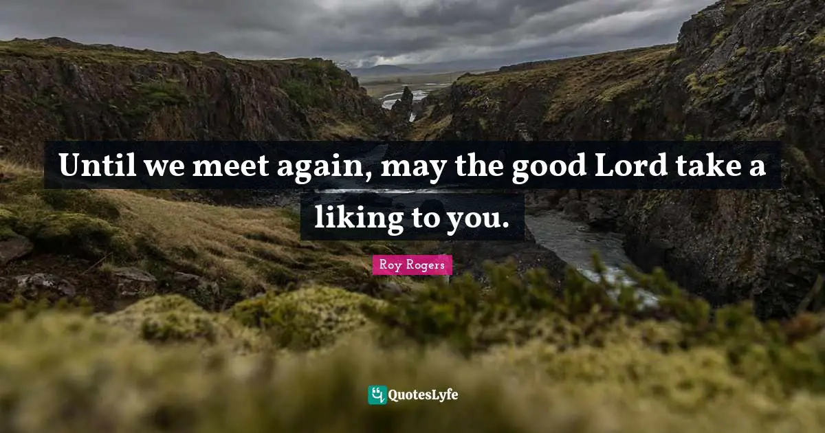 Irish Quotes: "Until we meet again, may the good Lord take a liking to you."