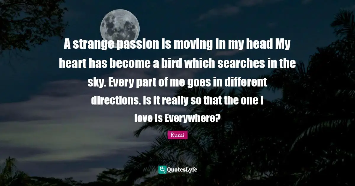 A strange passion is moving in my head My heart has become a bird which searches in the sky. Every part of me goes in different directions. Is it really so that the one I love is Everywhere?