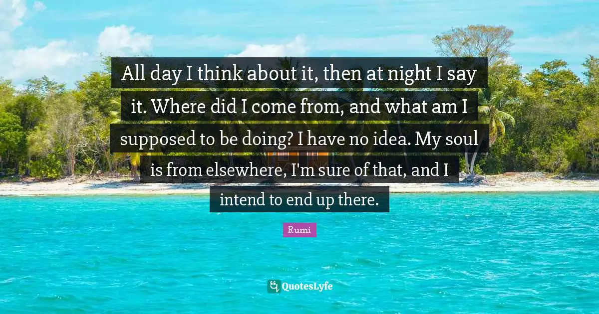 All day I think about it, then at night I say it. Where did I come from, and what am I supposed to be doing? I have no idea. My soul is from elsewhere, I'm sure of that, and I intend to end up there.