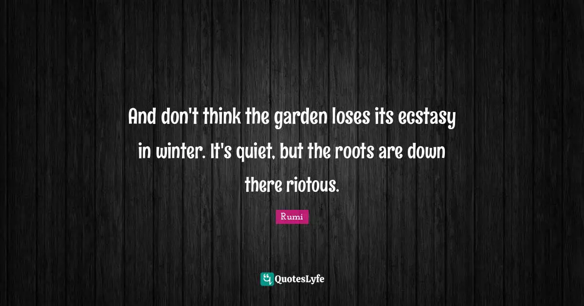And don't think the garden loses its ecstasy in winter. It's quiet, but the roots are down there riotous.