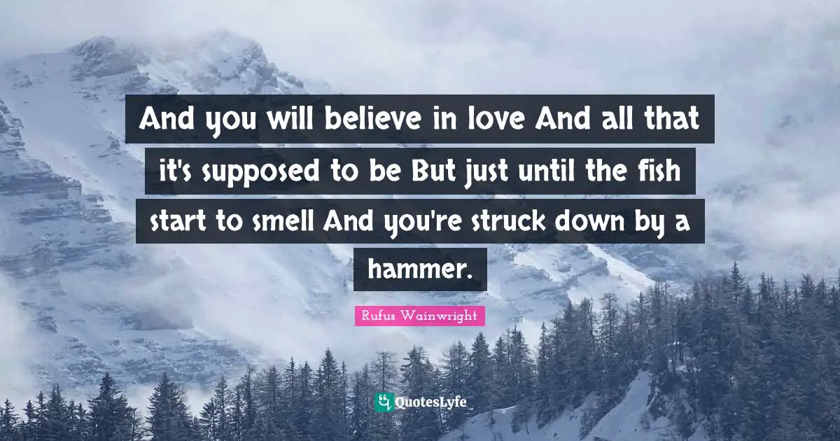 And you will believe in love And all that it's supposed to be But just until the fish start to smell And you're struck down by a hammer.