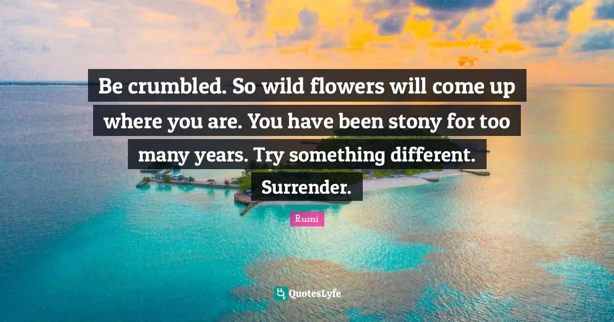 Flower Quotes: "Be crumbled. So wild flowers will come up where you are. You have been stony for too many years. Try something different. Surrender."