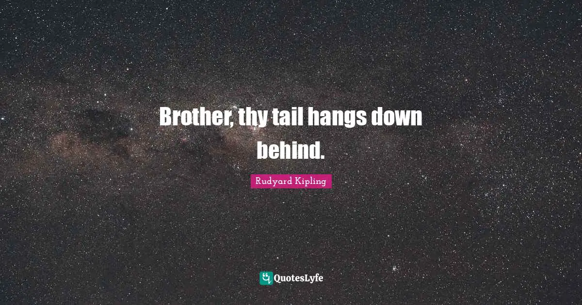 Brother, thy tail hangs down behind.