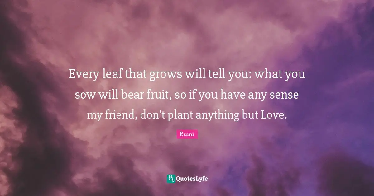 Journey Quotes: "Every leaf that grows will tell you: what you sow will bear fruit, so if you have any sense my friend, don't plant anything but Love."
