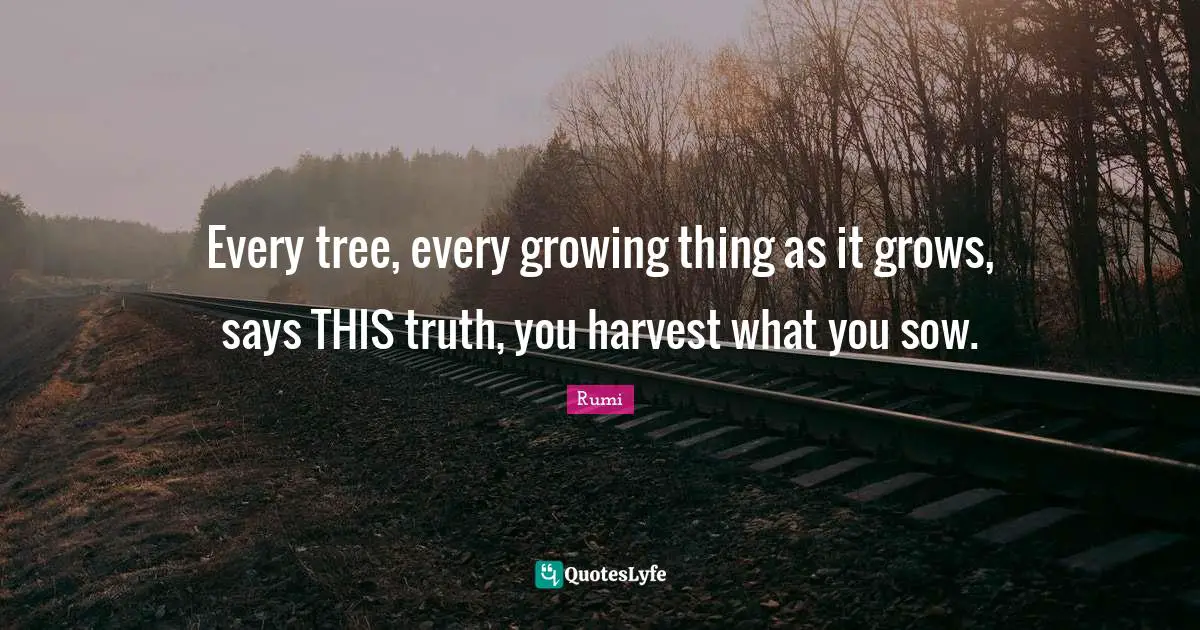 Every tree, every growing thing as it grows, says THIS truth, you harvest what you sow.