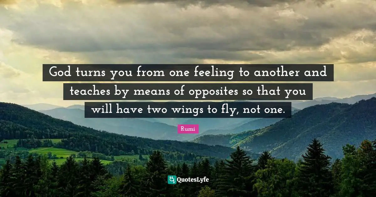 God turns you from one feeling to another and teaches by means of opposites so that you will have two wings to fly, not one.