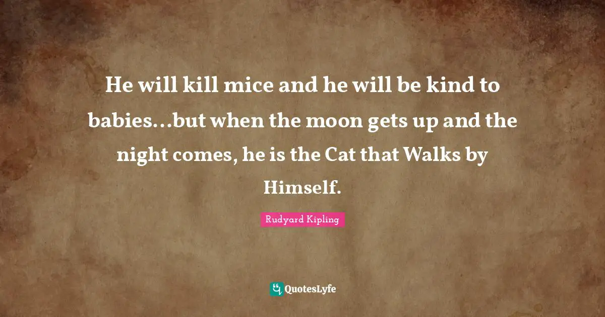 He will kill mice and he will be kind to babies...but when the moon gets up and the night comes, he is the Cat that Walks by Himself.