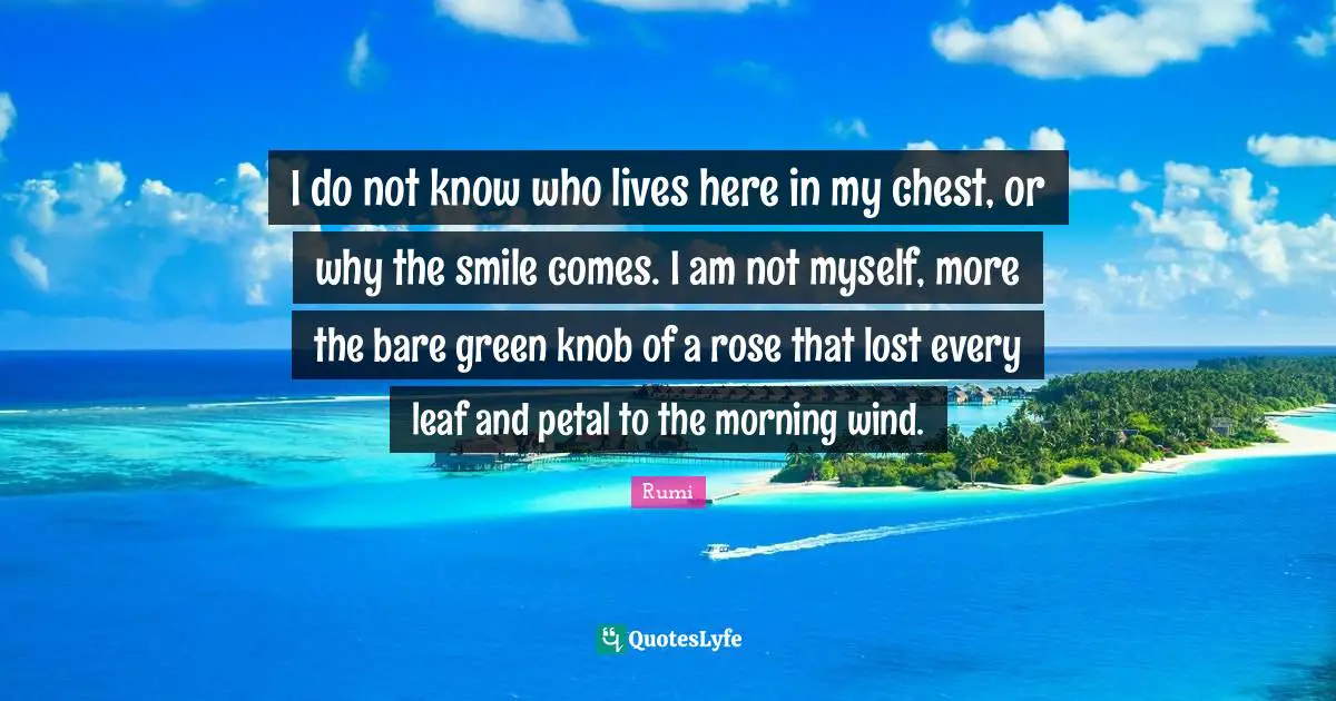 I do not know who lives here in my chest, or why the smile comes. I am not myself, more the bare green knob of a rose that lost every leaf and petal to the morning wind.