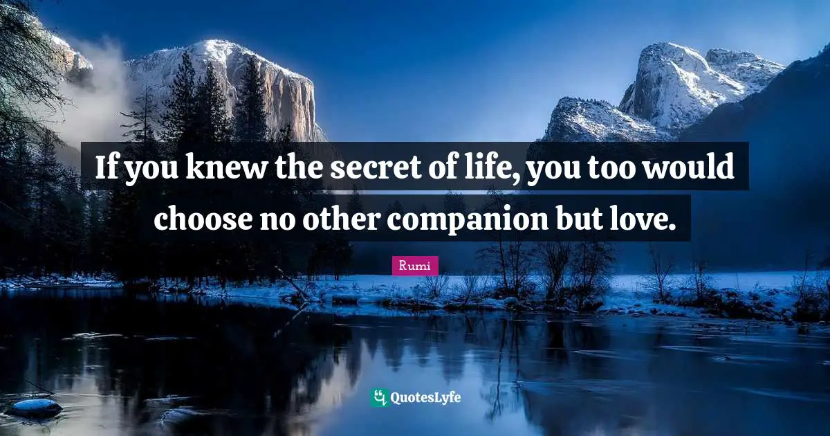 Spiritual Wisdom Quotes: "If you knew the secret of life, you too would choose no other companion but love."