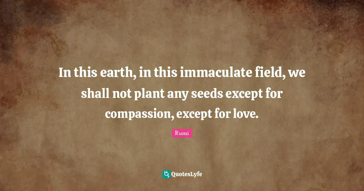 Seeds Quotes: "In this earth, in this immaculate field, we shall not plant any seeds except for compassion, except for love."