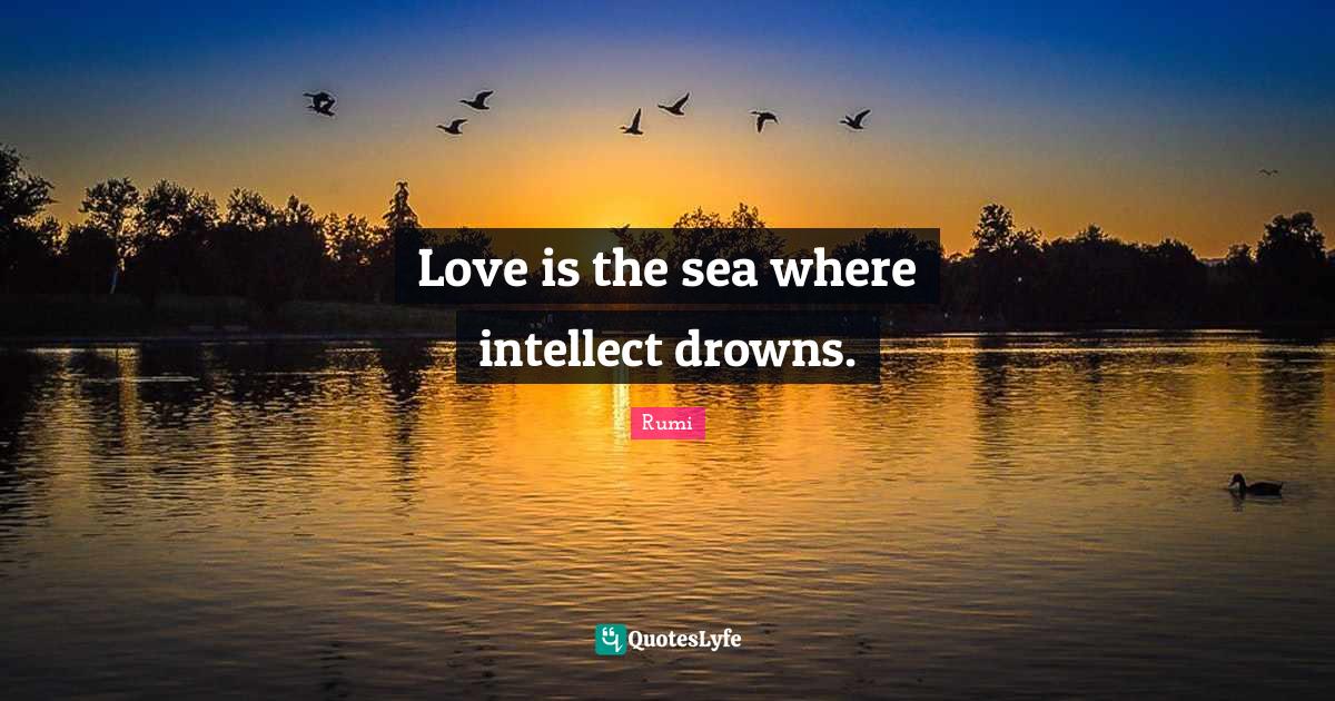 Love is the sea where intellect drowns.