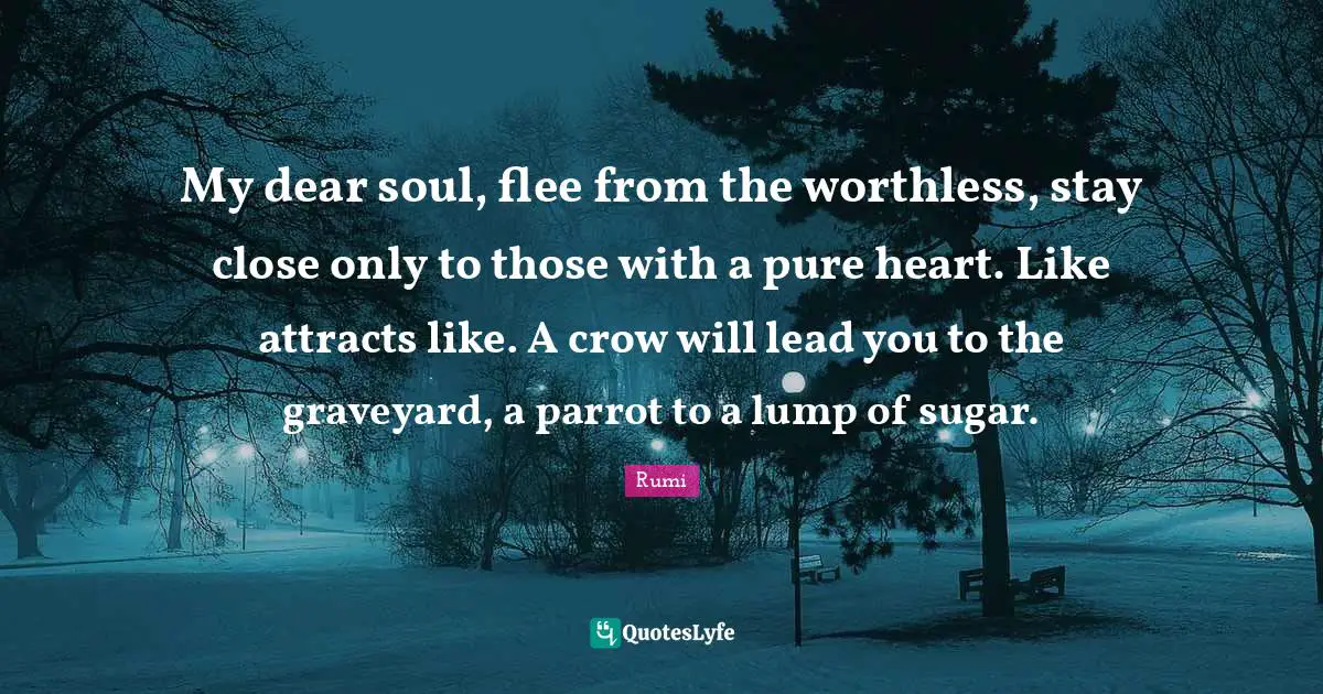Dear Quotes: "My dear soul, flee from the worthless, stay close only to those with a pure heart. Like attracts like. A crow will lead you to the graveyard, a parrot to a lump of sugar."