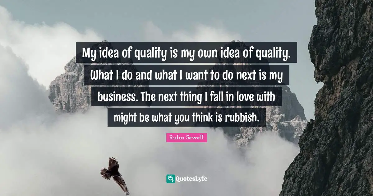 My idea of quality is my own idea of quality. What I do and what I want to do next is my business. The next thing I fall in love with might be what you think is rubbish.