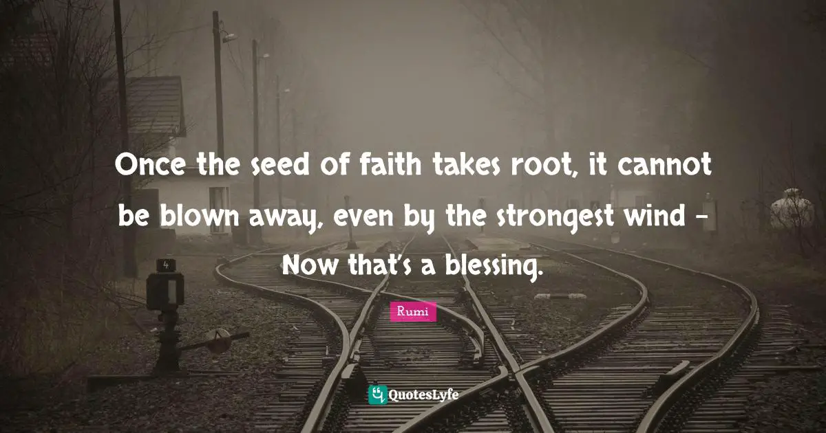 Once the seed of faith takes root, it cannot be blown away, even by the strongest wind - Now that’s a blessing.