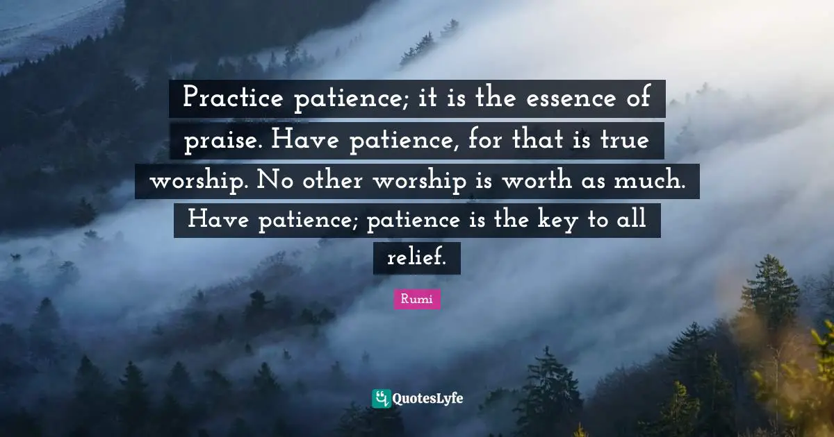 Praise Quotes: "Practice patience; it is the essence of praise. Have patience, for that is true worship. No other worship is worth as much. Have patience; patience is the key to all relief."