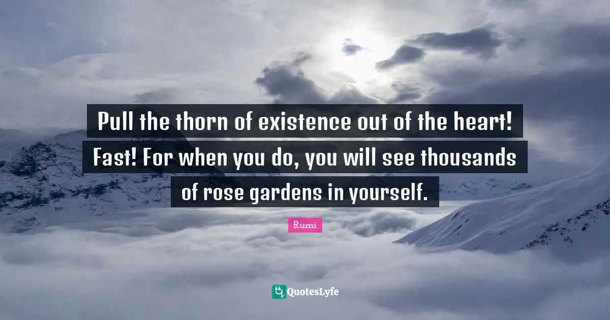 Pull the thorn of existence out of the heart! Fast! For when you do, you will see thousands of rose gardens in yourself.