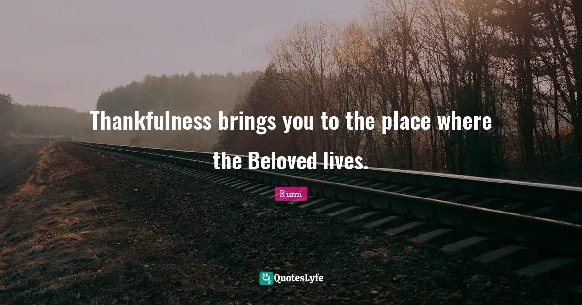 Thankfulness Quotes: "Thankfulness brings you to the place where the Beloved lives."