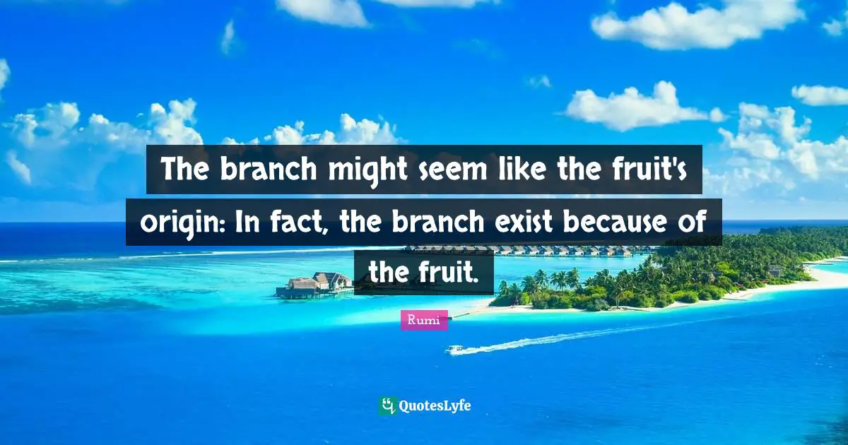 The branch might seem like the fruit's origin: In fact, the branch exist because of the fruit.