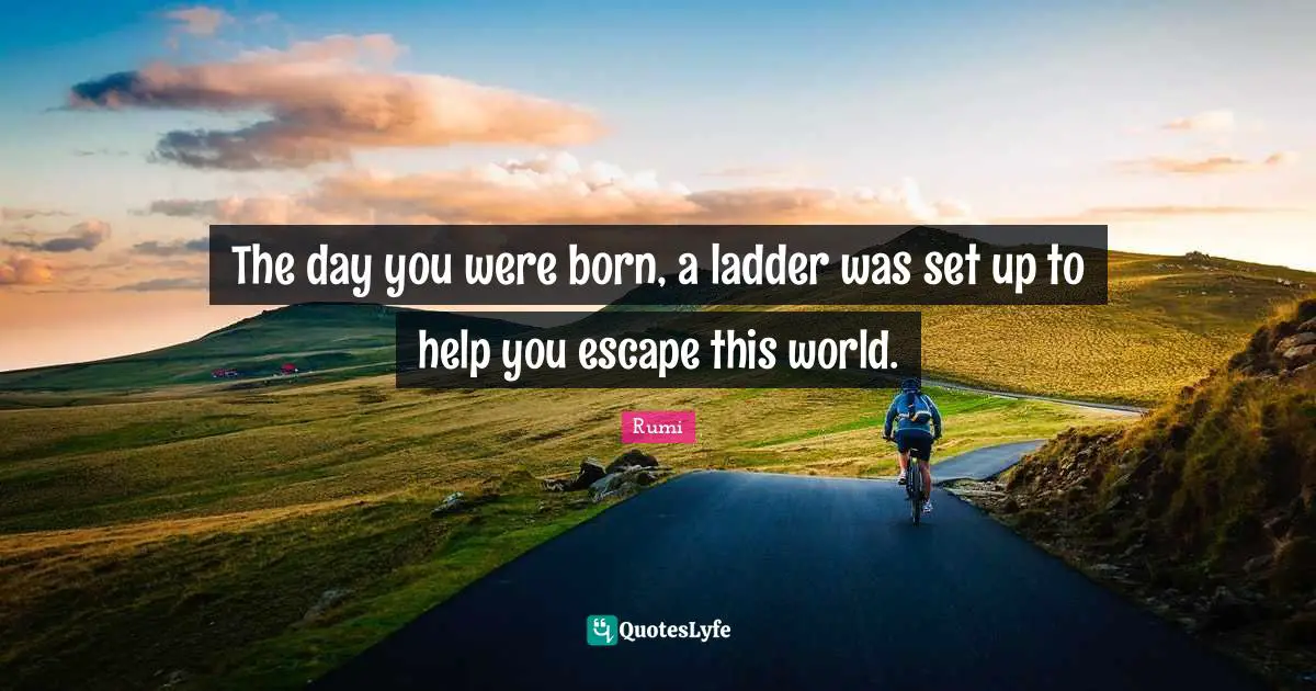 The day you were born, a ladder was set up to help you escape this world.