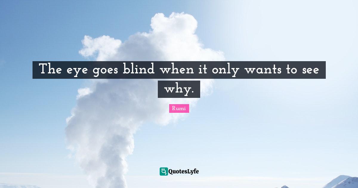 The eye goes blind when it only wants to see why.