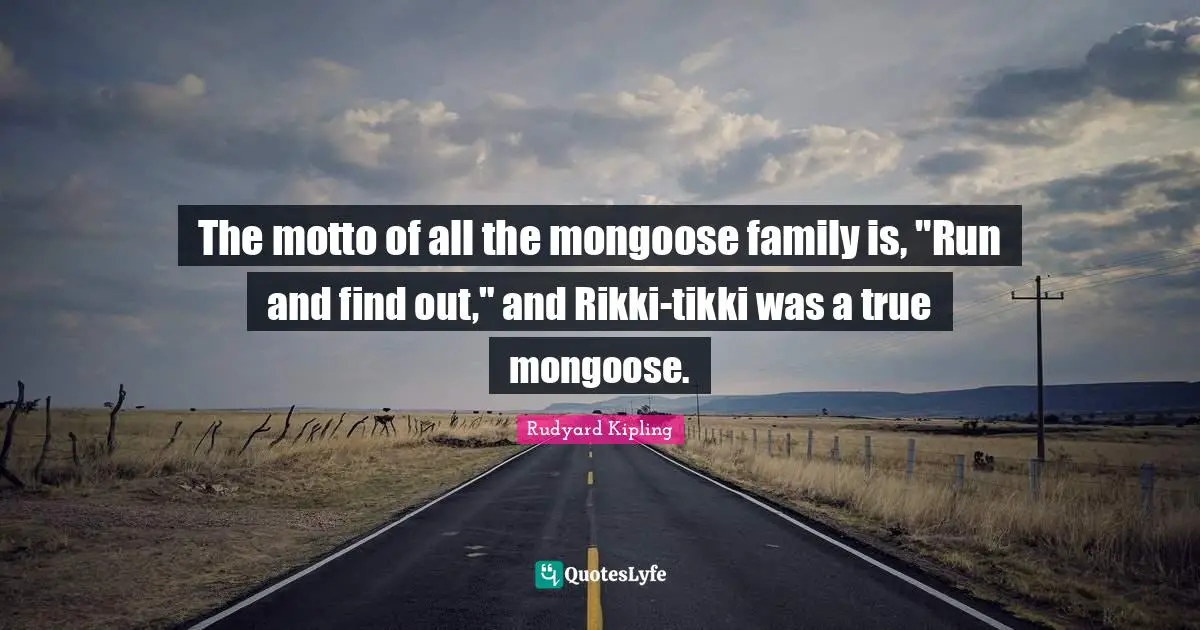 The motto of all the mongoose family is, "Run and find out," and Rikki-tikki was a true mongoose.
