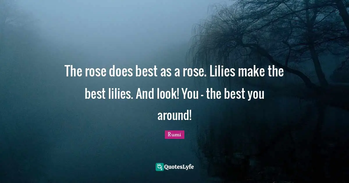 Rose Quotes: "The rose does best as a rose. Lilies make the best lilies. And look! You - the best you around!"