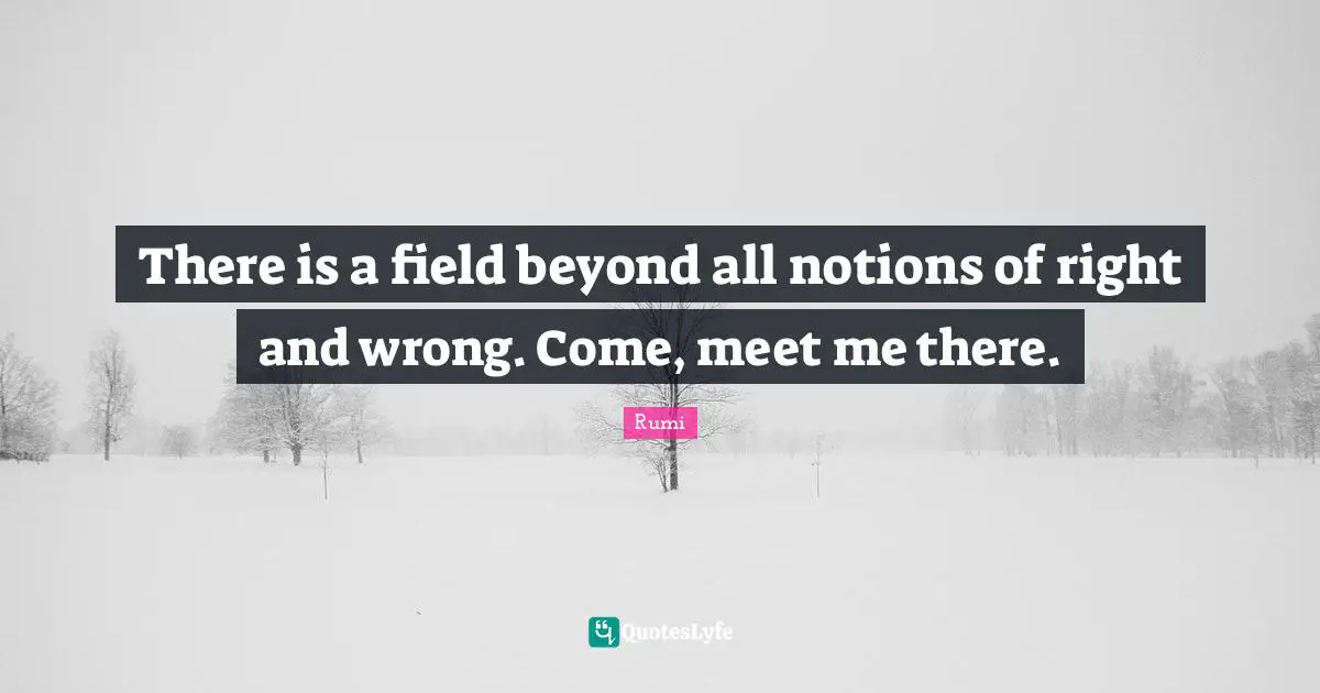 There is a field beyond all notions of right and wrong. Come, meet me there.