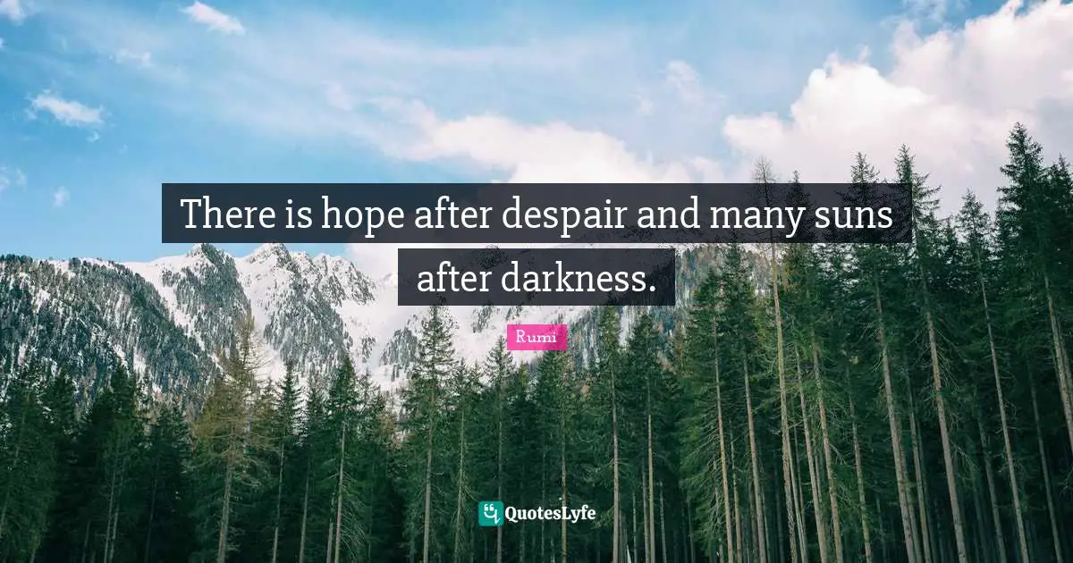 There Is Hope Quotes: "There is hope after despair and many suns after darkness."