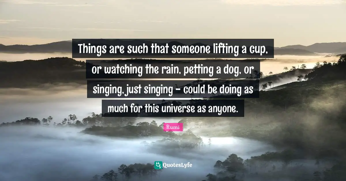 Things are such that someone lifting a cup, or watching the rain, petting a dog, or singing, just singing - could be doing as much for this universe as anyone.