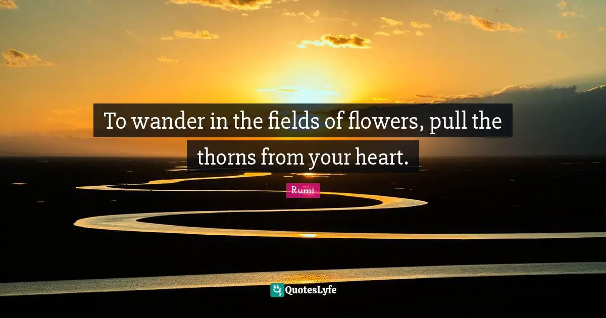 To wander in the fields of flowers, pull the thorns from your heart.