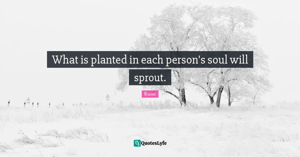What is planted in each person's soul will sprout.