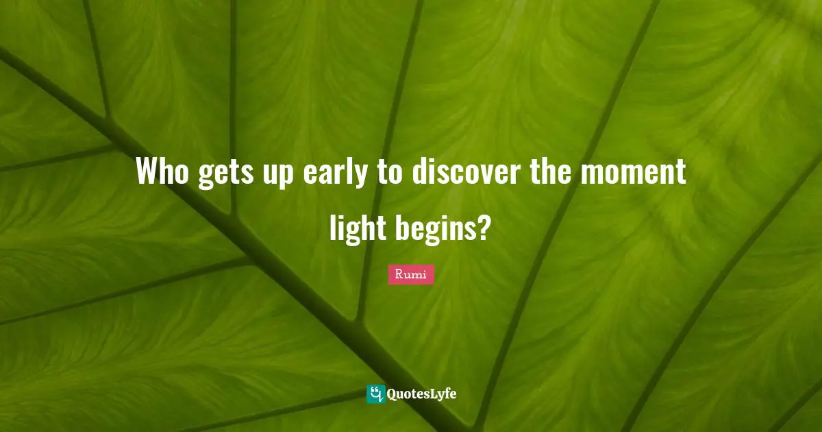 Who gets up early to discover the moment light begins?