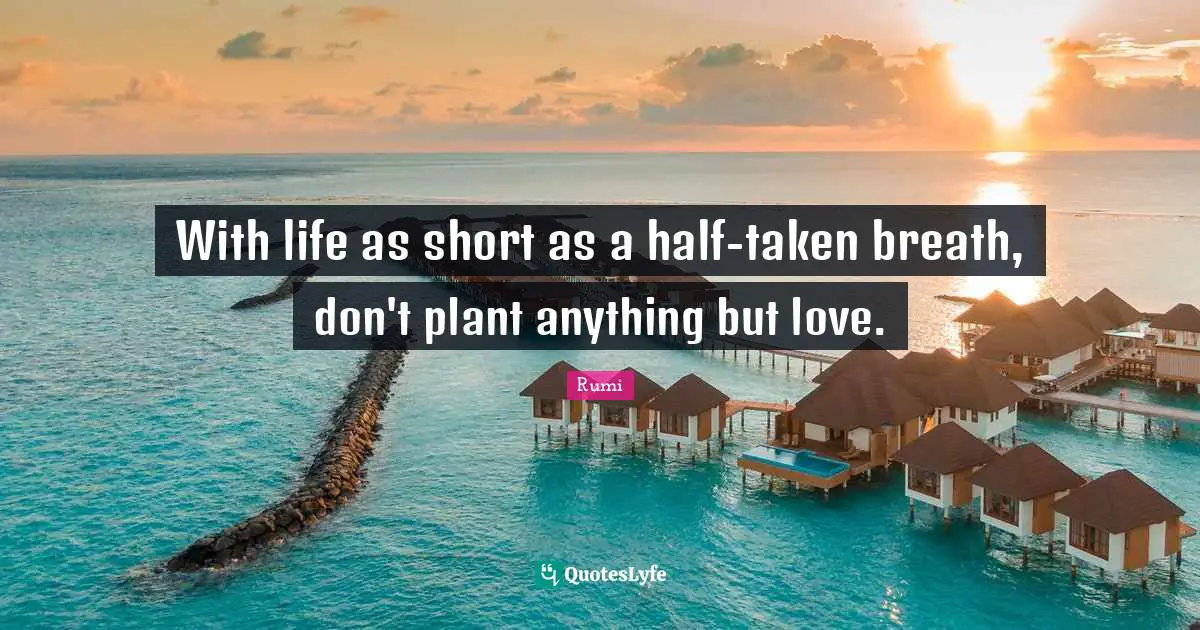 With life as short as a half-taken breath, don't plant anything but love.