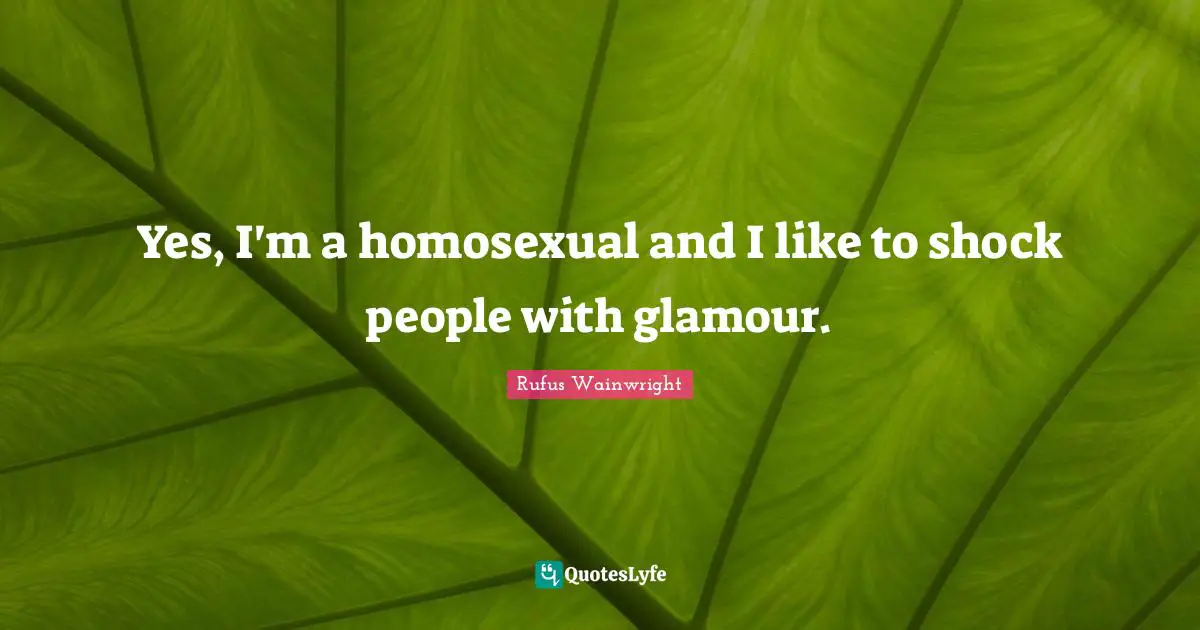 Yes, I'm a homosexual and I like to shock people with glamour.