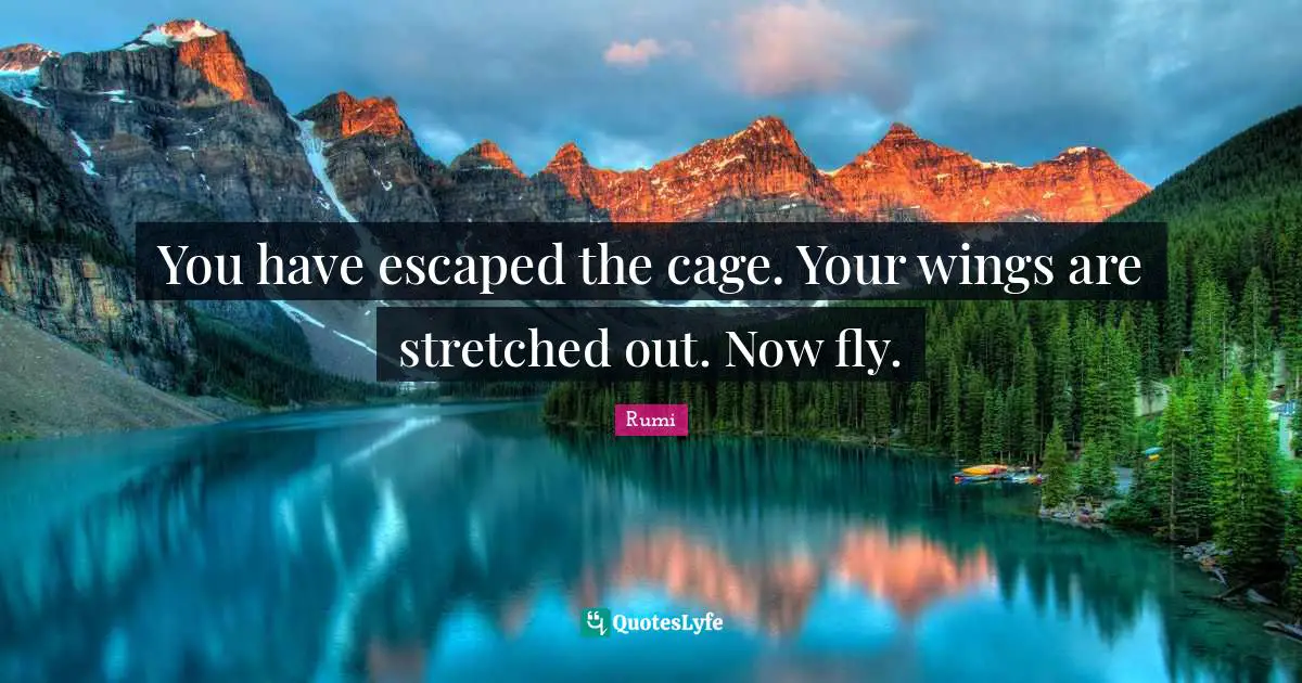 You have escaped the cage. Your wings are stretched out. Now fly.