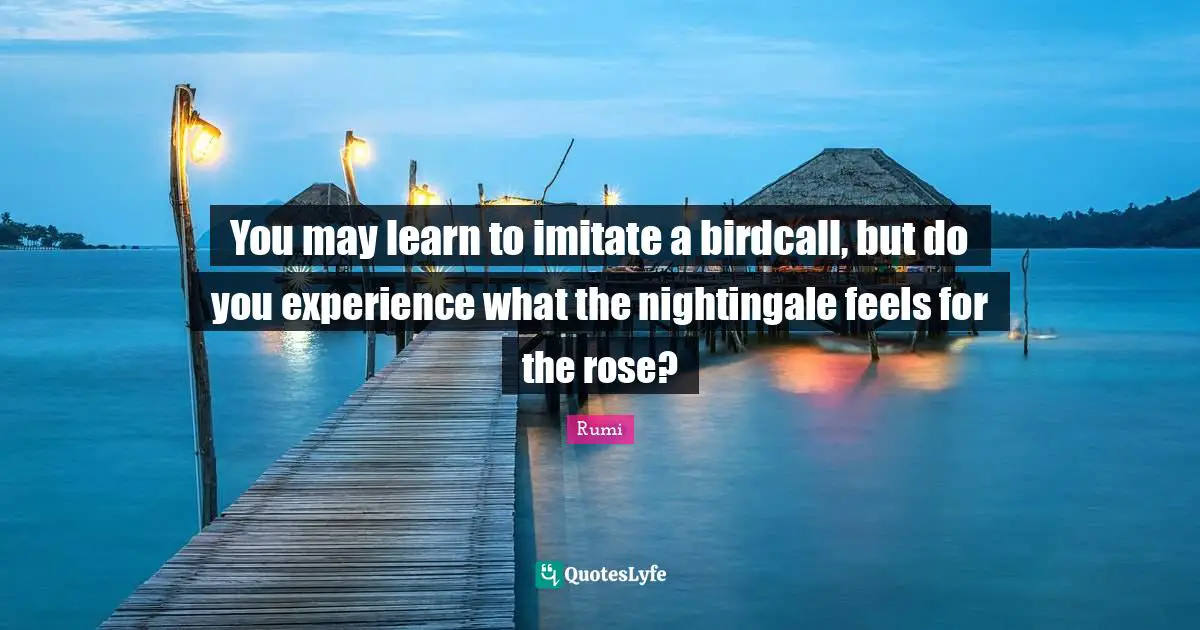 You may learn to imitate a birdcall, but do you experience what the nightingale feels for the rose?