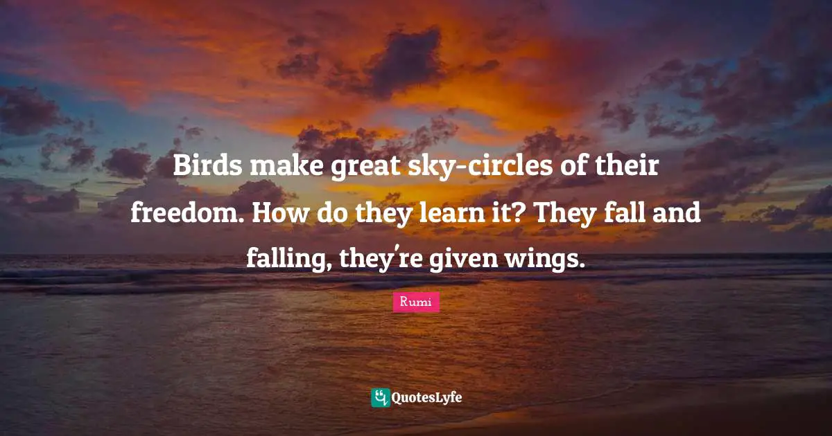 Birds make great sky-circles of their freedom. How do they learn it? They fall and falling, they're given wings.